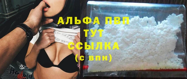 прущие грибы Богородицк