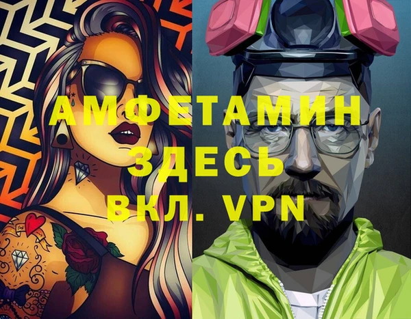 прущие грибы Богородицк