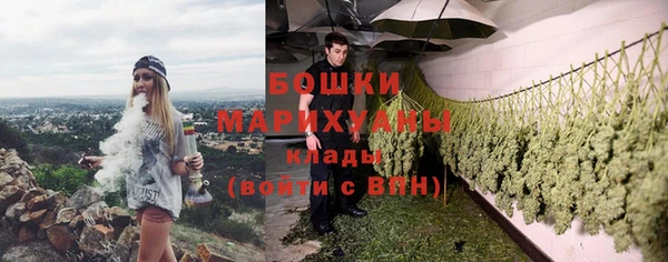 винт Богданович
