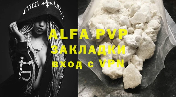 прущие грибы Бугульма