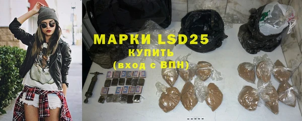 прущие грибы Бугульма