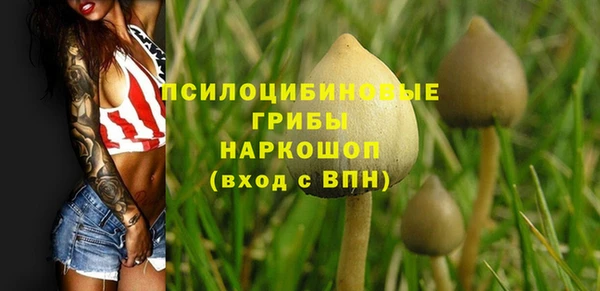 прущие грибы Богородицк