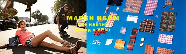 прущие грибы Богородицк