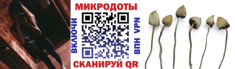 Галлюциногенные грибы ЛСД  купить  сайты  Горняк 